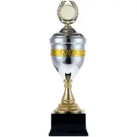 Кубок EnterPrize, серебристый