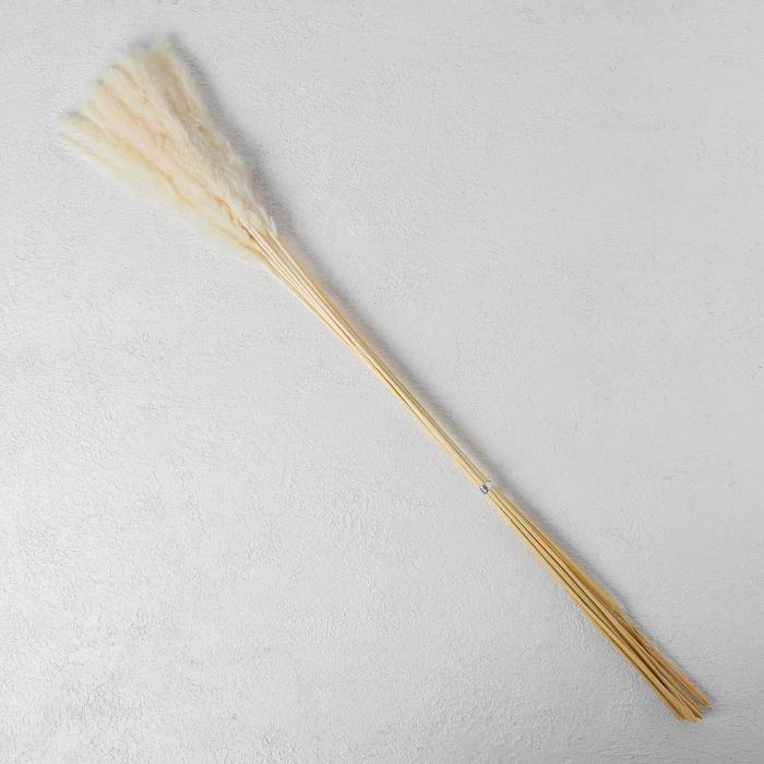 Сухоцвет «Камыш» набор 15 шт, цвет бежевый Сухоцвет «Камыш» набор 15 шт, цвет бежевый