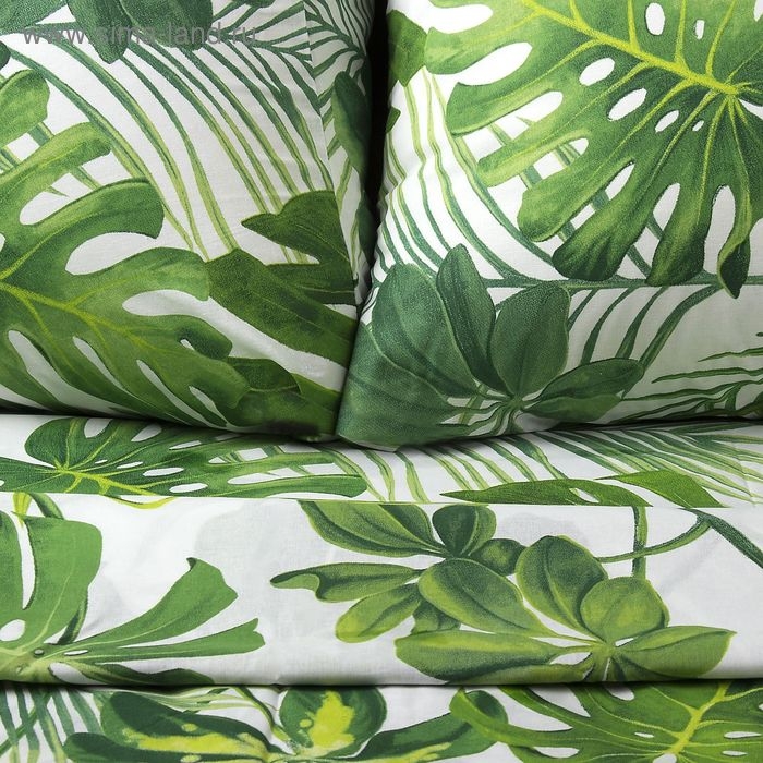 Постельное бельё Постельное бельё "Этель" 1,5 сп., Монстера, размер 143х215 см, 150х214 см, 70х70 см - 2 шт