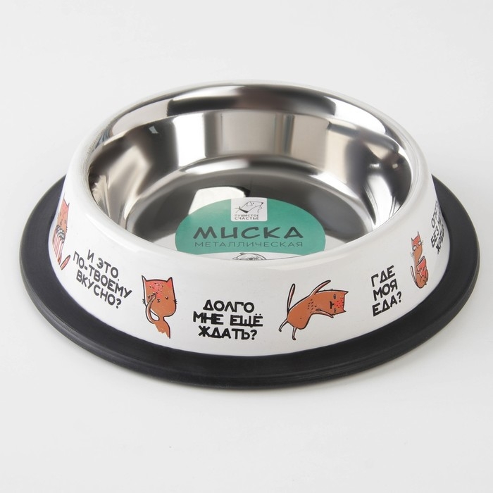 Миска металлическая для кошки с нескользящим основанием &laquo;Где моя еда?&raquo;, 235 мл, 15х3.5 см
