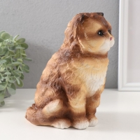 Копилка "Котенок Василий" 19 х 11 х 14 см. Копилка "Котенок Василий" 19 х 11 х 14 см.