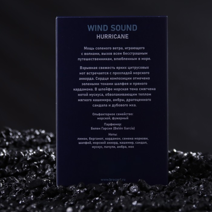 Туалетная вода мужская Туалетная вода мужская "Звук Ветра", "Ураган", 100 мл