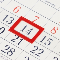 Календарь квартальный Премиум трио "Символ года - 1" 2025 год, 32 х 84 см Календарь квартальный Премиум трио "Символ года - 1" 2025 год, 32 х 84 см