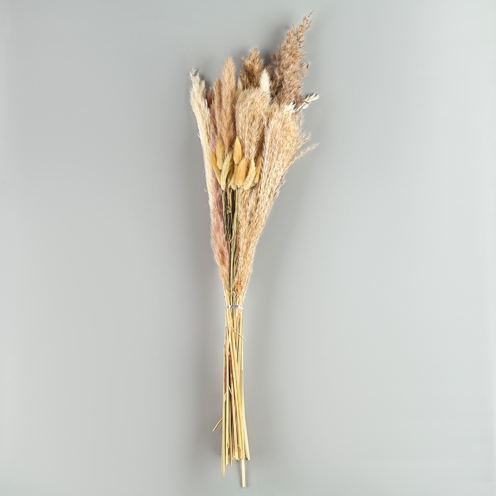 Букет из сухоцветов &laquo;Изящность&raquo;, высота 47 см