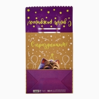 Пакет с клапаном «С Днём рождения», котик, крафт, глиттер, 19,5 × 10 × 25.2 см Пакет с клапаном «С Днём рождения», котик, крафт, глиттер, 19,5 × 10 × 25.2 см