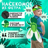 Карнавальный набор «Весёлые насекомые»: повязка и муха из фетра, 3–7 лет Карнавальный набор «Весёлые насекомые»: повязка и муха из фетра, 3–7 лет