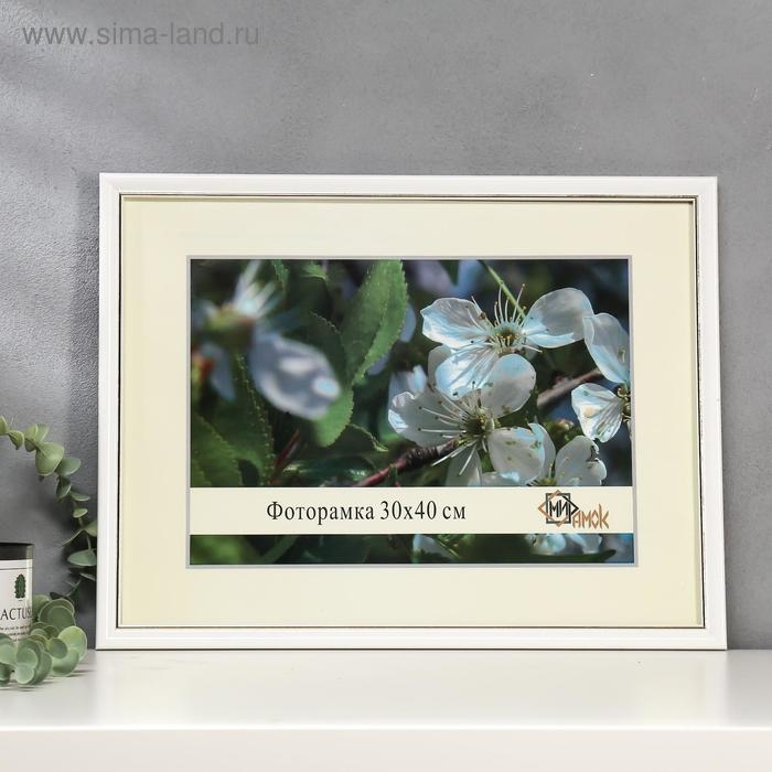 Фоторамка пластик 1017-1105-1 30х40 см