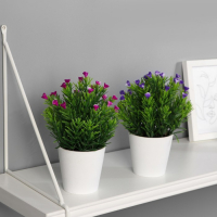 Бонсай в горшке "Остролист с цветочками" 8х18 см, микс