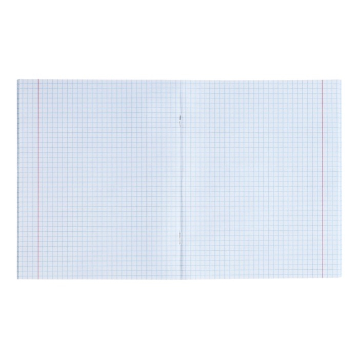 Тетрадь предметная Calligrata TOP "Школьный стиль", 48 листов в клетку Геометрия, со справочным материалом, пластиковая обложка, блок офсет