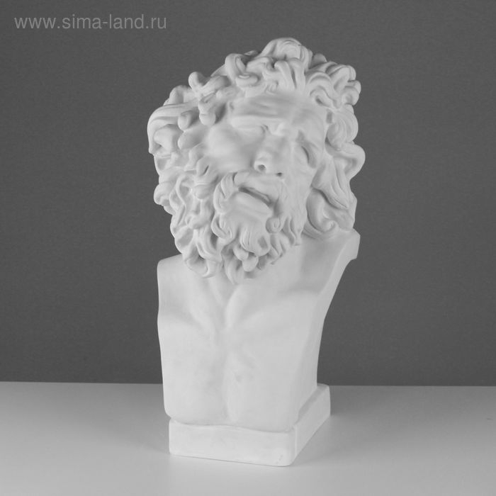 Гипсовая фигура Бюст Лаокоона, 28 х 30 х 55 см Гипсовая фигура Бюст Лаокоона, 28 х 30 х 55 см
