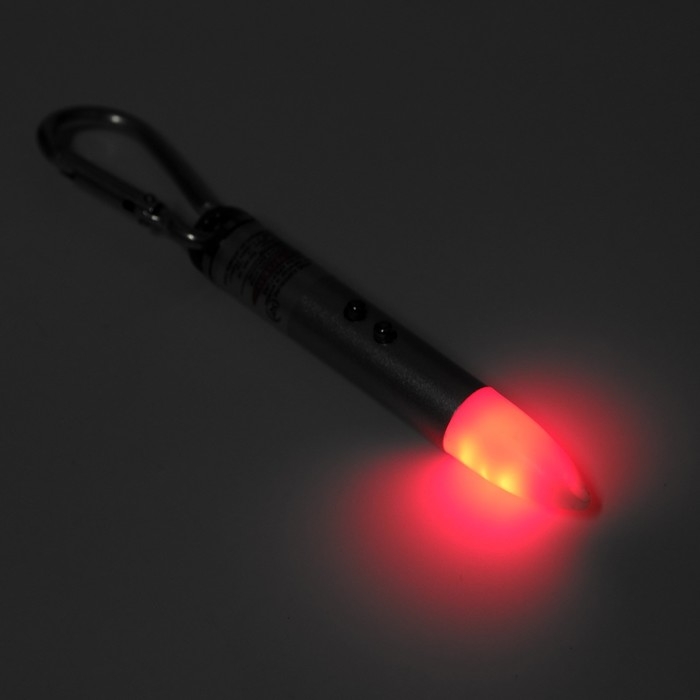 Лазерная указка Лазерная указка "Мастер К", с карабином, 3 LR44, 2 х 2 х 8.5