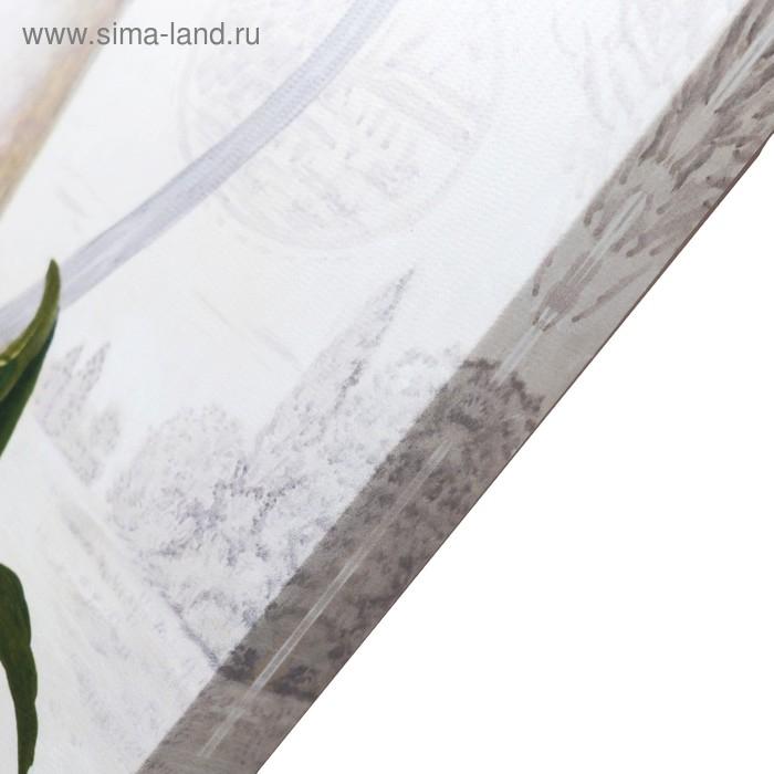 Картина-холст на подрамнике "Натюрморт" 60х100 см