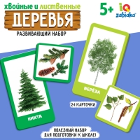 Развивающий набор &laquo;Хвойные и лиственные деревья&raquo;