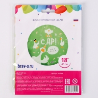 Фольгированный шар 18" &laquo;СДР гусь&raquo;, круг