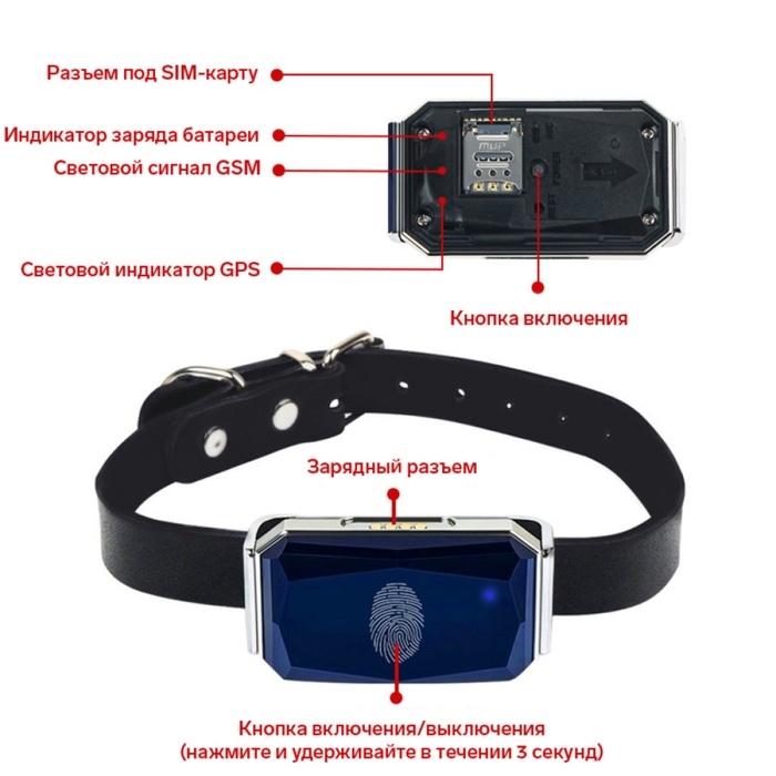 GPS Трекер для животных AK32, с ошейником, точность до 10 м, акб 500 мАч, серебристый GPS Трекер для животных AK32, с ошейником, точность до 10 м, акб 500 мАч, серебристый