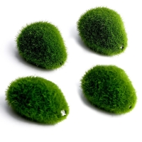 Основа для творчества &laquo;Камень со мхом&raquo; набор 4 шт., размер 1 шт. &mdash; 5 &times; 1,5 &times; 3 см