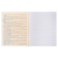 Тетрадь предметная Calligrata TOP "Полоса", 48 листов в линию Литература, со справочным материалом, обложка мелованный картон, ТВИН + выборочный УФ-лак, офсет