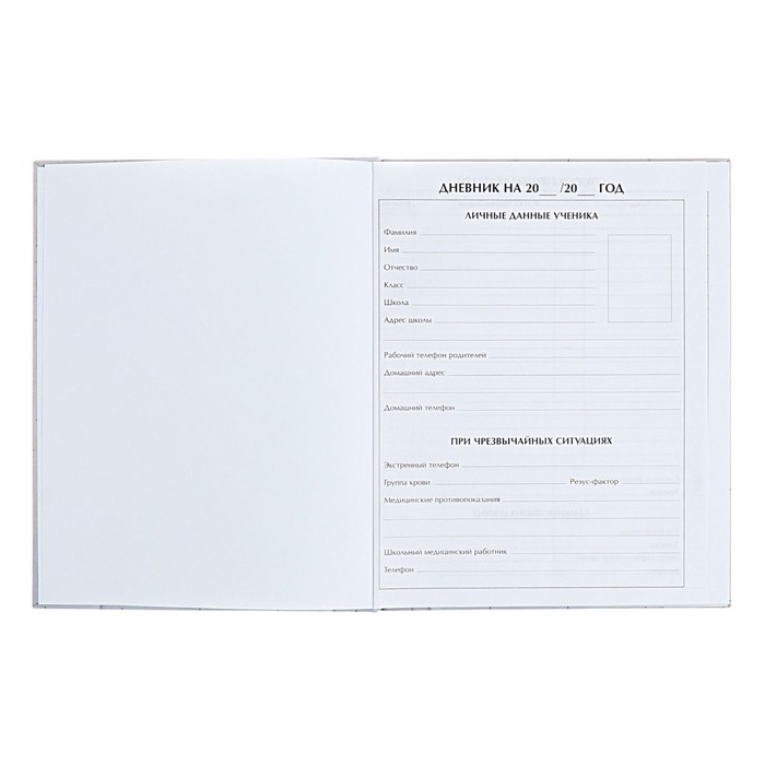 Дневник для 5-11 классов Дневник для 5-11 классов "Современный вайб. Анонимность", твёрдая обложка, матовая ламинация, выборочный лак, 48 листов