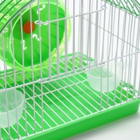 Клетка для грызунов укомплектованная RT-2c, 23 х 16,5 х 20 см, зеленая Клетка для грызунов укомплектованная RT-2c, 23 х 16,5 х 20 см, зеленая