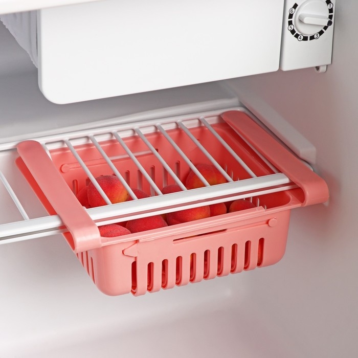 Полка подвесная в холодильник раздвижная Доляна, 20(28)×16,2×7,5 см, цвет МИКС Полка подвесная в холодильник раздвижная Доляна, 20(28)×16,2×7,5 см, цвет МИКС