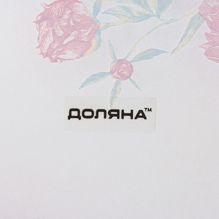 Блюдо стеклянное овальное Доляна &laquo;Пионы&raquo;, 24,5&times;15&times;2 см