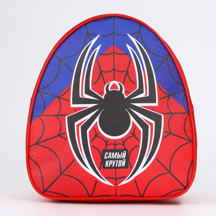 Рюкзак детский для мальчика &laquo;Паучок&raquo;, р-р. 23х20,5 см
