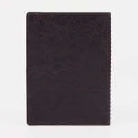 Обложка для автодокументов, цвет коричневый Обложка для автодокументов, цвет коричневый