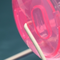 Шар для грызунов на металлическом основании, 12 см, розовый