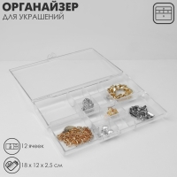 Органайзер для хранения украшений «Лео», 12 ячеек, 18×12×2,5 см, цвет прозрачный Органайзер для хранения украшений «Лео», 12 ячеек, 18×12×2,5 см, цвет прозрачный