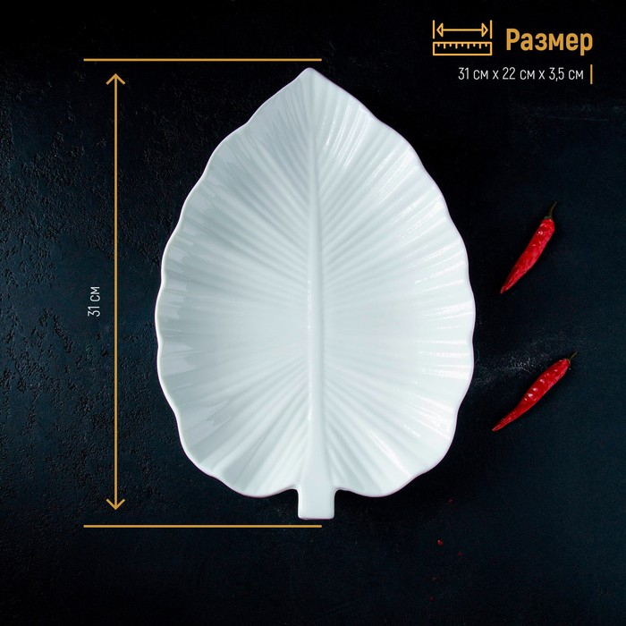 Блюдо фарфоровое Magistro &laquo;Лист Бланш&raquo;, 31&times;22&times;3,5 см, цвет белый