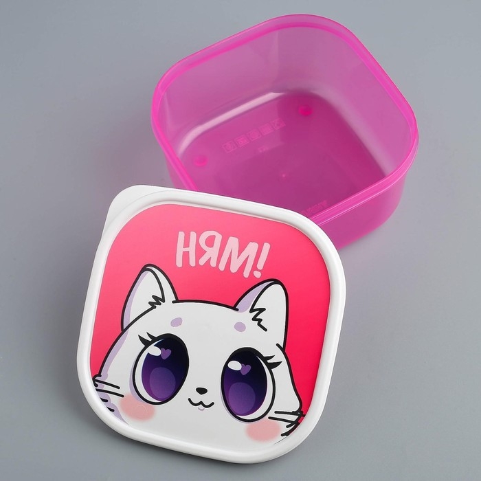 Ланч-бокс «Котик», 700 мл Ланч-бокс «Котик», 700 мл