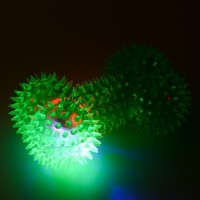 Игрушка для собак "Светящаяся кость", TPR, 10,5 см, зелёная Игрушка для собак "Светящаяся кость", TPR, 10,5 см, зелёная