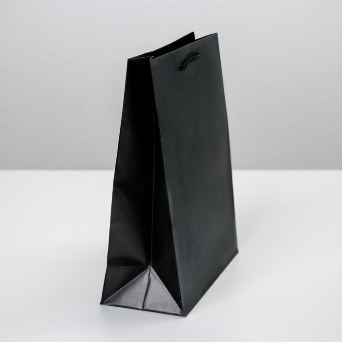 Пакет подарочный ламинированный, упаковка, &laquo;Чёрный&raquo;, MS 18 х 23 х 8 см