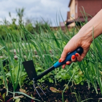 Набор садового инструмента Greengo, 2 предмета: мотыжка, совок, длина 31 см, пластиковые ручки Набор садового инструмента Greengo, 2 предмета: мотыжка, совок, длина 31 см, пластиковые ручки
