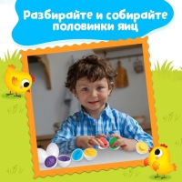 Развивающий набор &laquo;Курочка наседка&raquo;, 3+