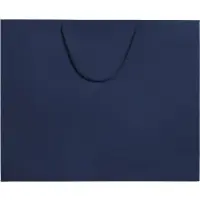 Пакет бумажный Ample Plus L, синий