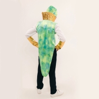 Карнавальный костюм детский «Новогодний змей»: жилетка, нагрудник, шапка, нарукавники, рост 116-128 см Карнавальный костюм детский «Новогодний змей»: жилетка, нагрудник, шапка, нарукавники, рост 116-128 см