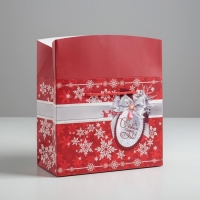 Пакет‒коробка &laquo;С Новым годом!&raquo;, 23 х 18 х 11 см, Новый год