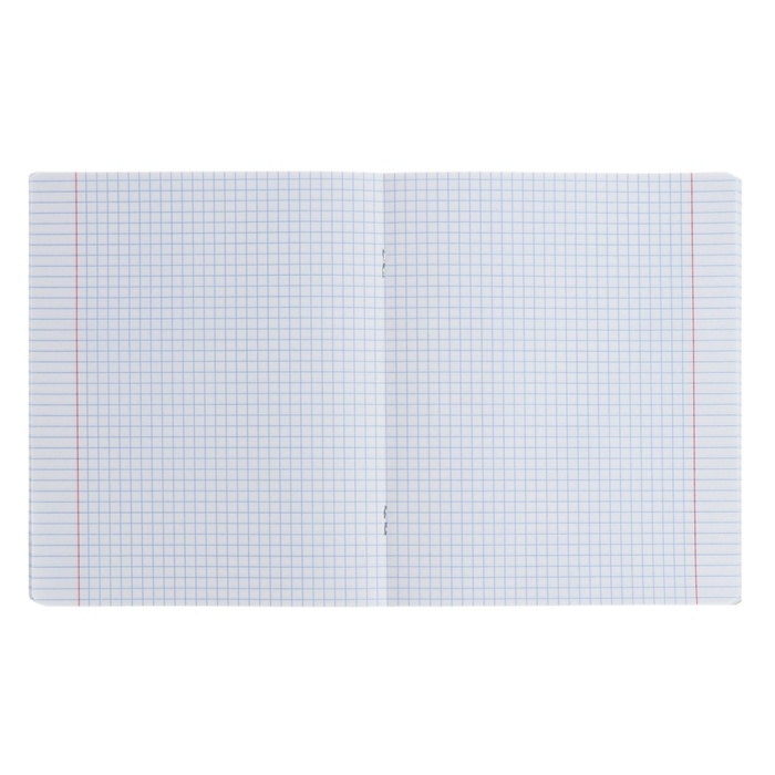 Тетрадь предметная ИНФОРМАТИКА, 48 листов в клетку, ErichKrause Manga, обложка мелованный картон, твин-лак, блок офсет 100% белизна, инфо-блок