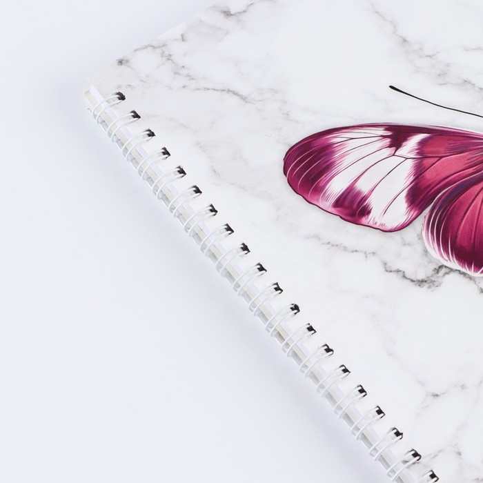 Скетчбук на гребне &laquo;Бабочка&raquo;, 20х20см, 40 листов