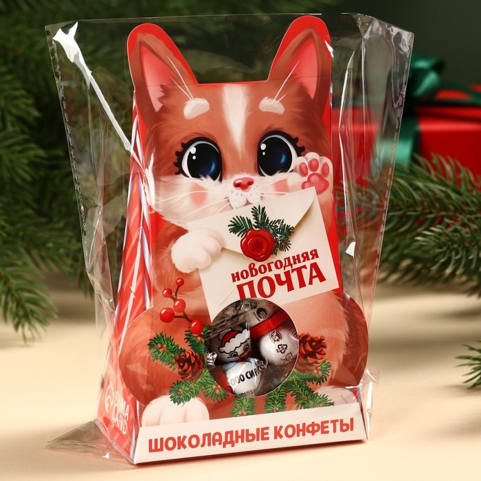 Подарочные шоколадные конфеты &laquo;Новогодняя почта&raquo;, 150 гр