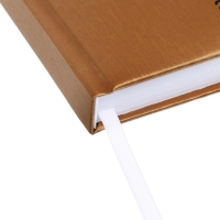 Ежедневник датированный 2024 года, А5, 176 листов, Attomex.Regent, обложка бумвинил, ляссе, блок 70 г/м2, золотой