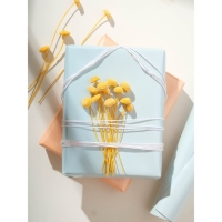 Сухоцвет &laquo;Батао&raquo; набор 20 шт., цвет жёлтый