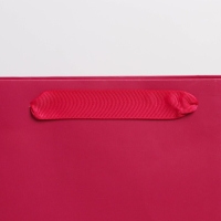 Пакет подарочный ламинированный, упаковка, &laquo;Фуксия&raquo;, M 25.5 х 32 х 9 см