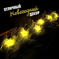 Набор для опытов «Новогодняя гирлянда. Звезда», 10 ламп, 1 режим, белый свет, 220 В Набор для опытов «Новогодняя гирлянда. Звезда», 10 ламп, 1 режим, белый свет, 220 В