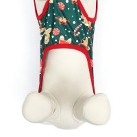 Толстовка "Пряня", размер S (ДС 25, ОШ 25, ОГ 35 см), зелёная Толстовка "Пряня", размер S (ДС 25, ОШ 25, ОГ 35 см), зелёная