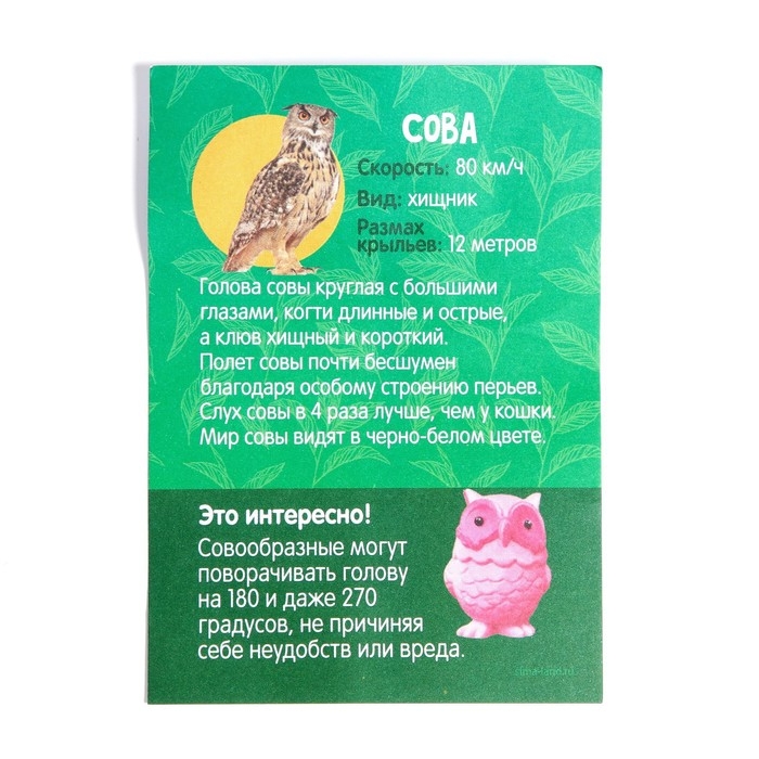 Растущие животные в яйце &laquo;Сова&raquo; МИКС