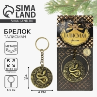 Брелок новогодний, для ключей «Богатства и процветания», диам. 4 см Брелок новогодний, для ключей «Богатства и процветания», диам. 4 см