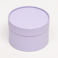 Подарочная коробка "Бледно-фиолетовый", завальцованная без окна, 16 х 10 см Подарочная коробка "Бледно-фиолетовый", завальцованная без окна, 16 х 10 см