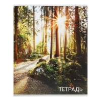 Тетрадь 96 листов в клетку Calligrata "Природа", обложка мелованный картон, блок №2, белизна 75% (серые листы), МИКС Тетрадь 96 листов в клетку Calligrata "Природа", обложка мелованный картон, блок №2, белизна 75% (серые листы), МИКС